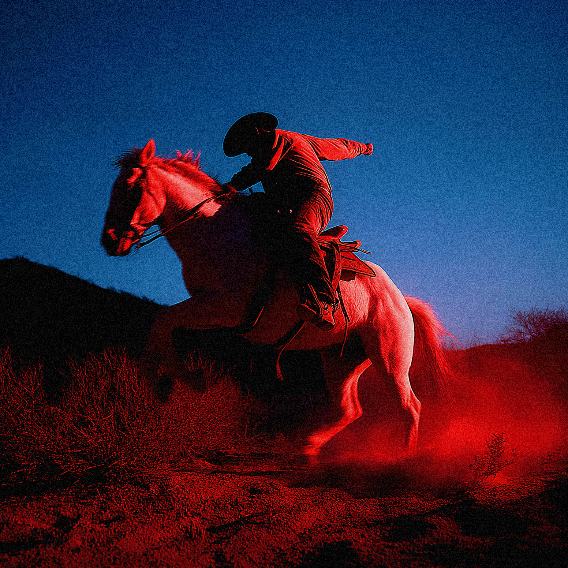 MIDNIGHT COWBOY-003B